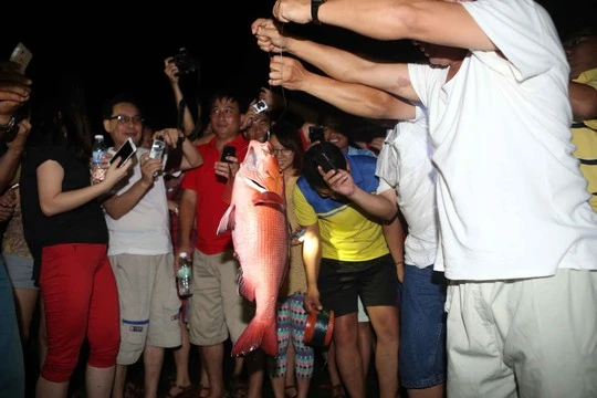 Chú cá hồng, chiến lợi phẩm đầu tiên