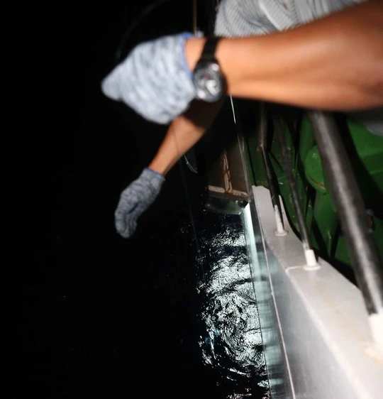 Thả câu dọc mạn tàu