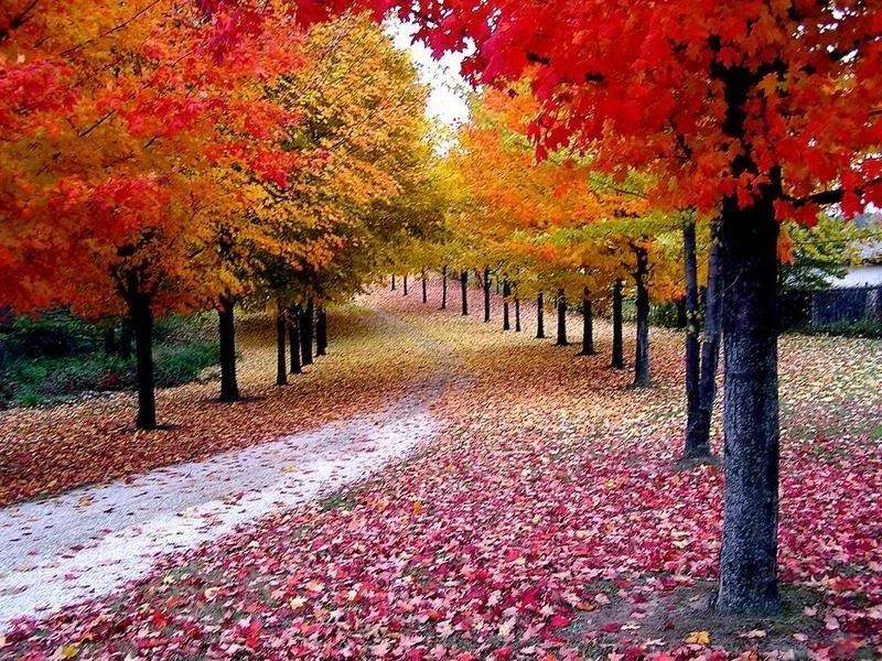 Xốc lại tinh thần ngày hẩm hiu ảnh 6