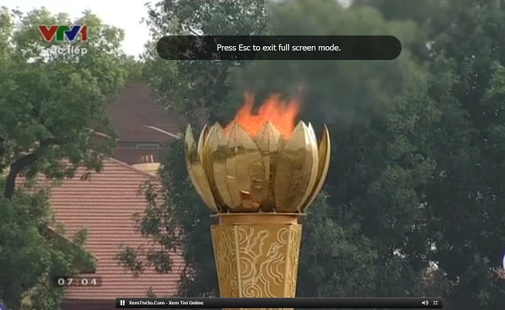 Toàn cảnh lễ mít tinh mừng 70 năm ngày Quốc khánh 2-9 ảnh 51