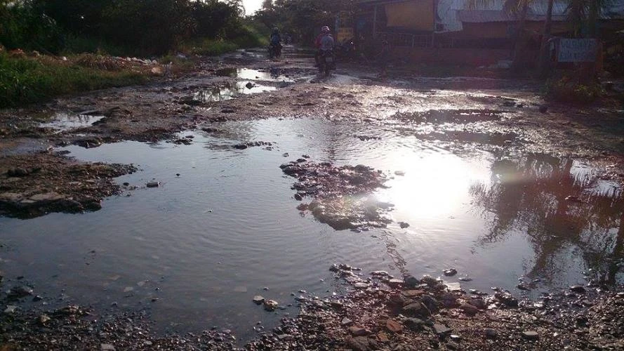 Đi đường như đi… thú nhún ảnh 4