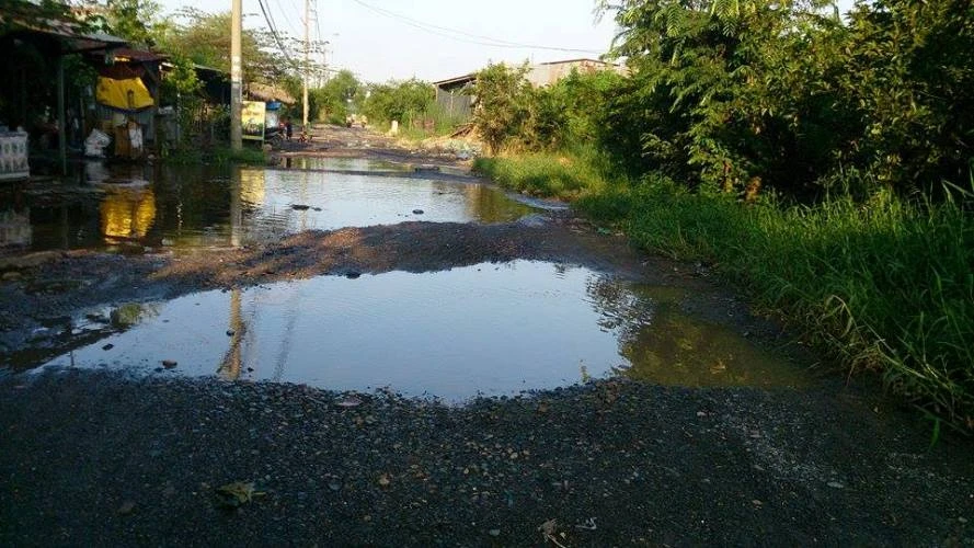 Đi đường như đi… thú nhún ảnh 2