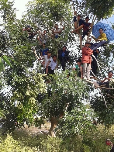 Chùm ảnh: Toàn cảnh phiên tòa xét xử trọng án thảm sát Bình Phước ảnh 26