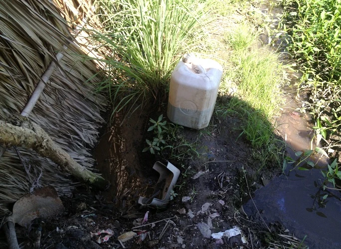 Hiểu đúng về việc tưới nhớt trên rau muống ảnh 1