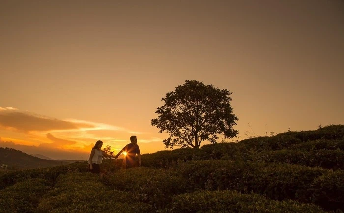 Anh đến với tôi vào mùa xuân buồn nhất ảnh 3