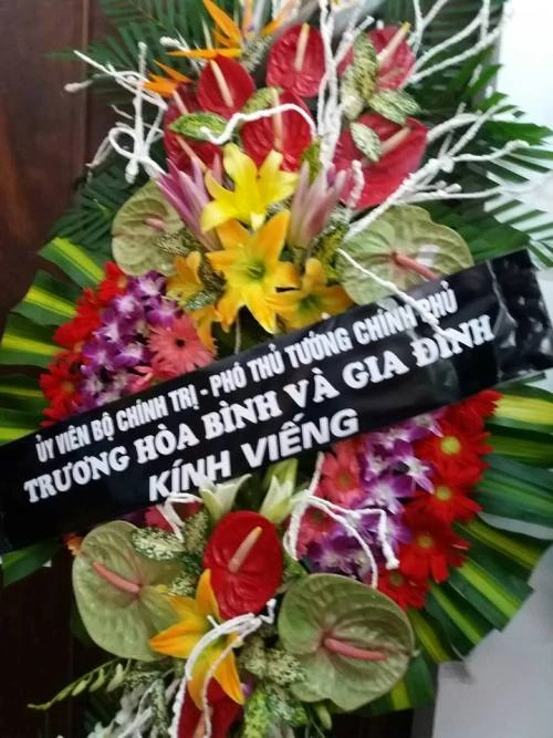 Lễ truy điệu Đại tá phi công Su-30 Trần Quang Khải: Đưa Anh về đất mẹ ảnh 4