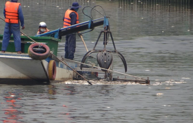 Nhờ những chiếc máy cạp này, hàng tục tấn cá chết trên kênh Nhiêu Lộc – Thị Nghè kịp thời được thu gom