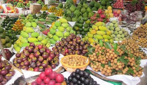 Trái cây đặc sản miền Tây chưa được chú trọng thương hiệu