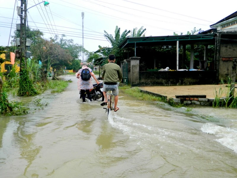 Quảng Nam thiệt hại 220 tỉ, Quảng Ngãi ngập nặng ảnh 4