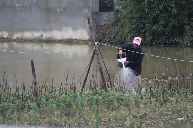 Lũ chồng lũ, lấy gì ăn tết? ảnh 5
