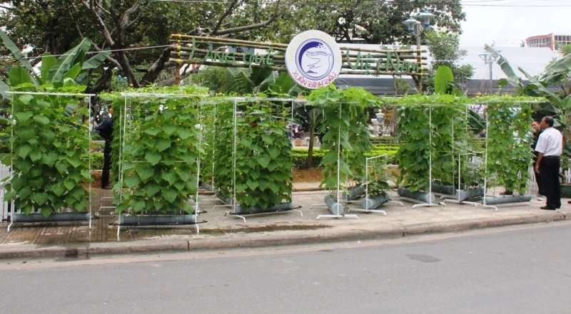 Đưa nông sản vào Hội hoa xuân ảnh 8