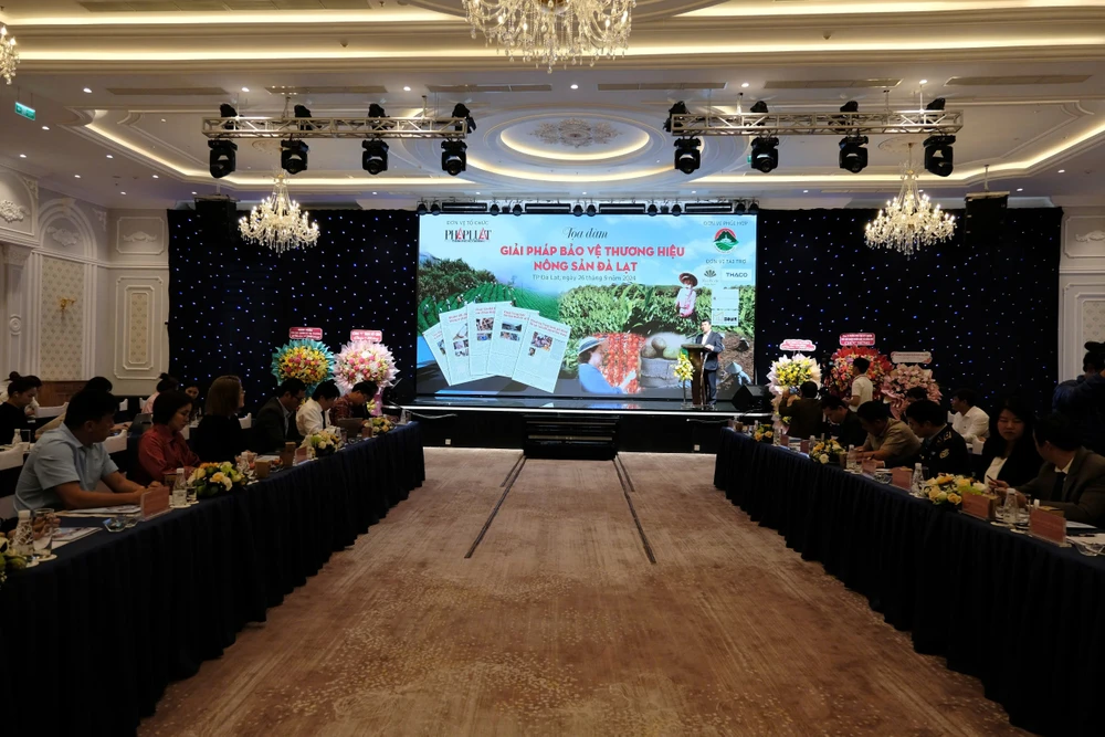 Các đại biểu tham dự tọa đàm. Ảnh: TIẾN THÀNH