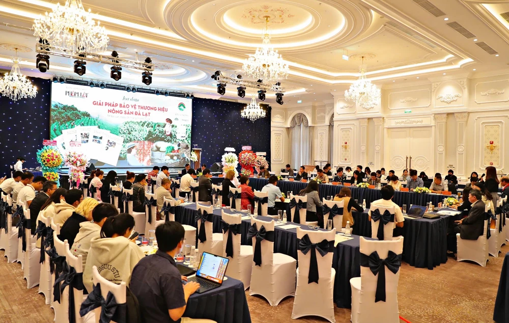 Toàn cảnh buổi tọa đàm. Ảnh: TIẾN THÀNH