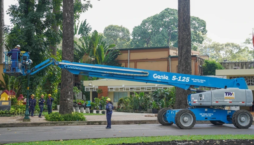 cây xanh đô thị