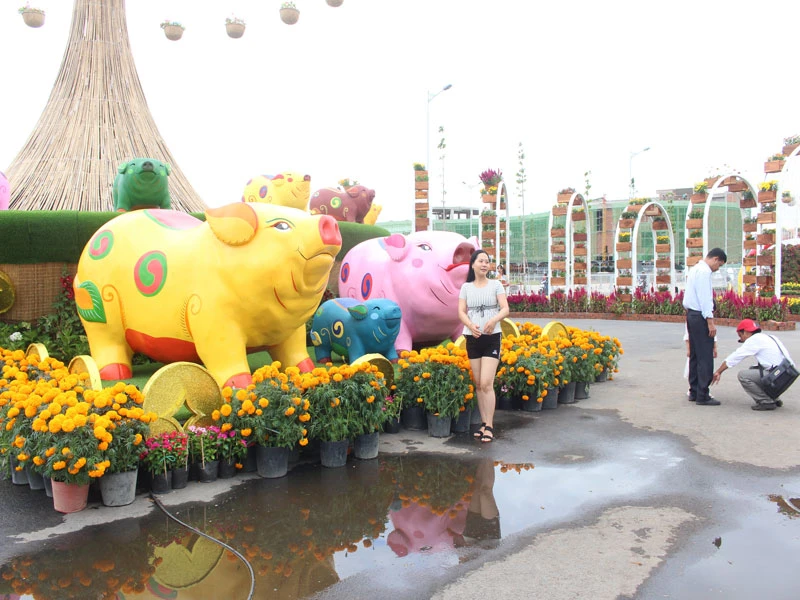 Du khách thích thú với đường hoa xuân tại TP Mỹ Tho ảnh 2