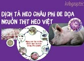 Dịch tả heo Châu Phi đe dọa nguồn thịt heo Việt