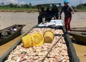 Hàng chục tấn cá chết trắng sông La Ngà