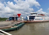 Bến Tre: Tạm ngưng hoạt động bến phà tạm Rạch Miễu, phà Tân Phú