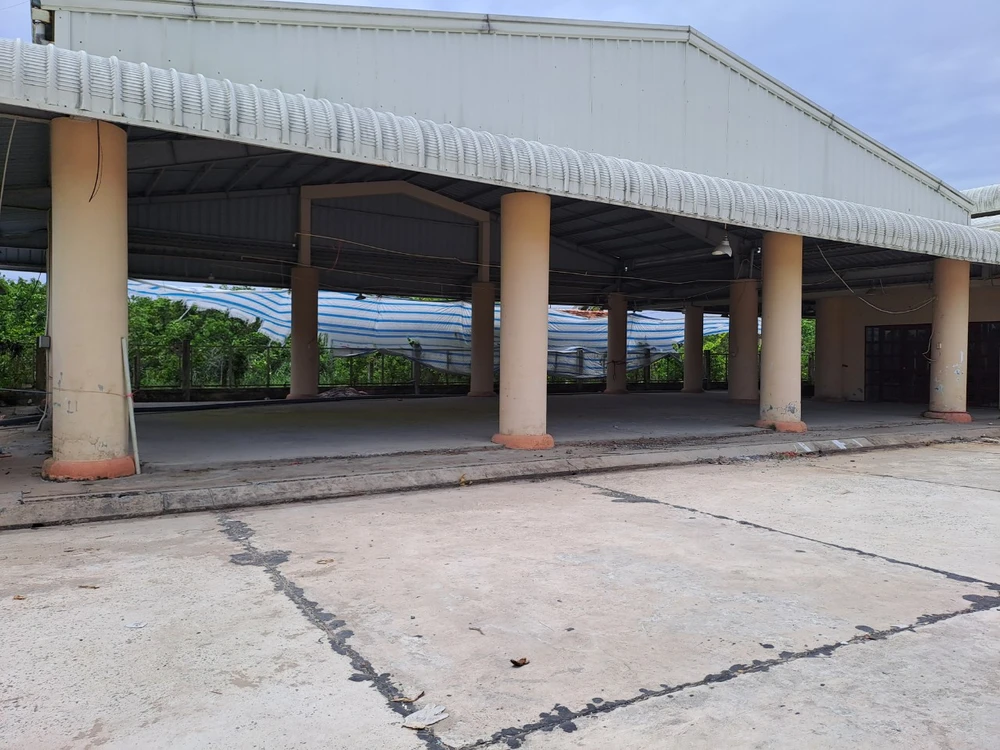 Cho-dau-moi-trai-cay-son-dinh (3).jpg