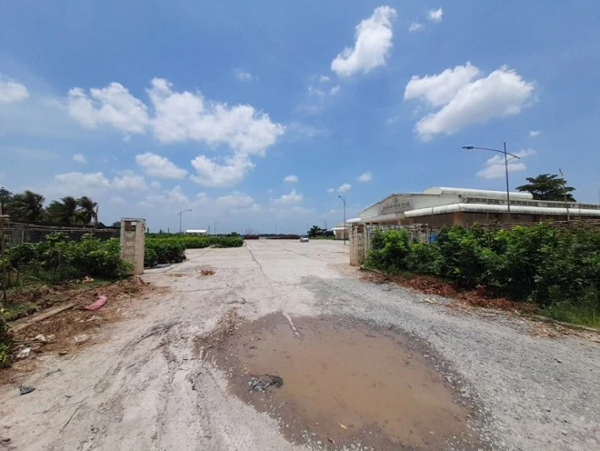 Cho-dau-moi-trai-cay-Son-Dinh (4).jpg