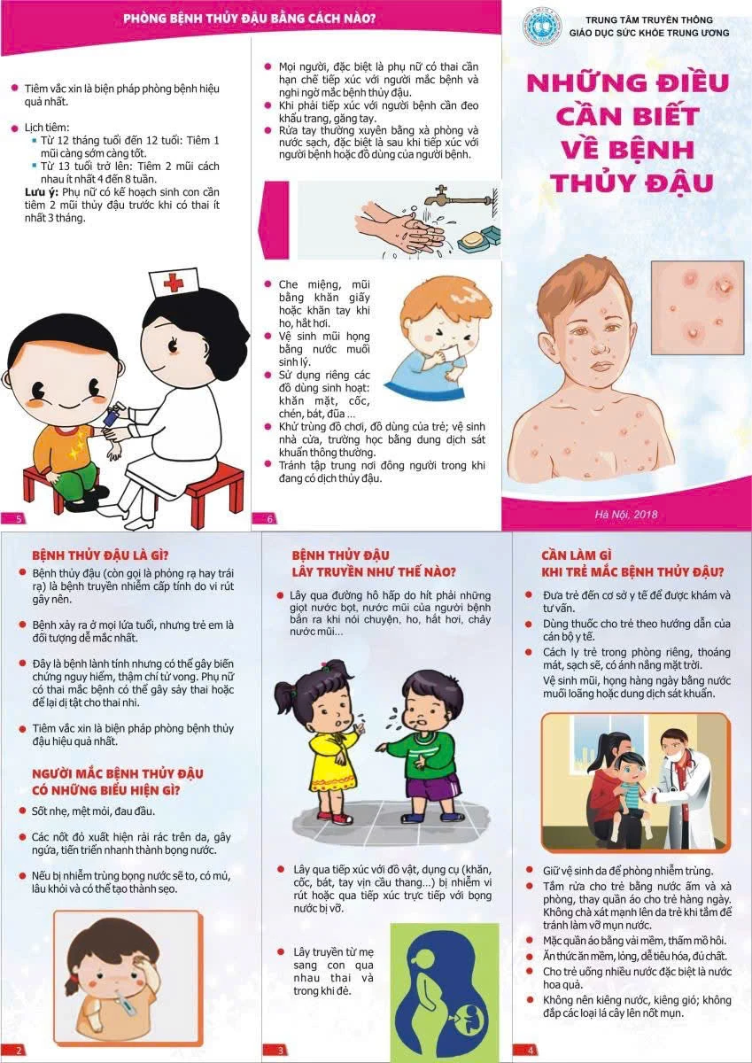 Bến Tre: Phát hiện 16 ca bệnh thủy đậu tại một trường học
