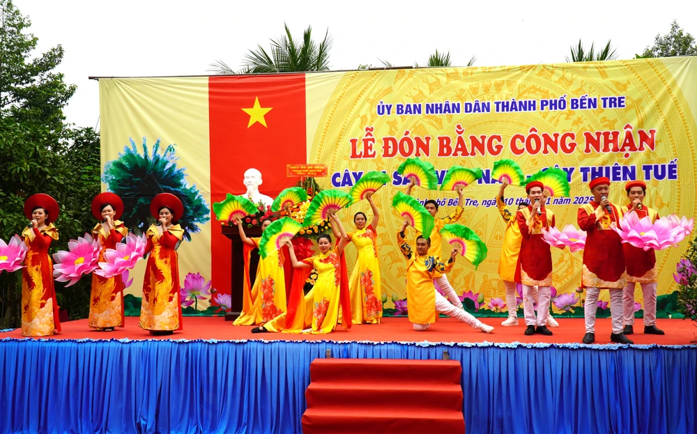 cây thiên tuế (2).JPG