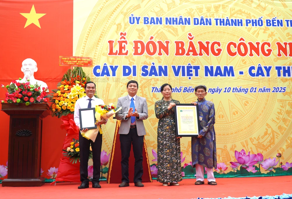 cây thiên tuế (3).JPG