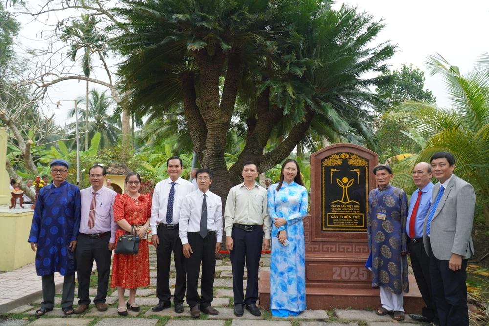 cây thiên tuế (7).JPG