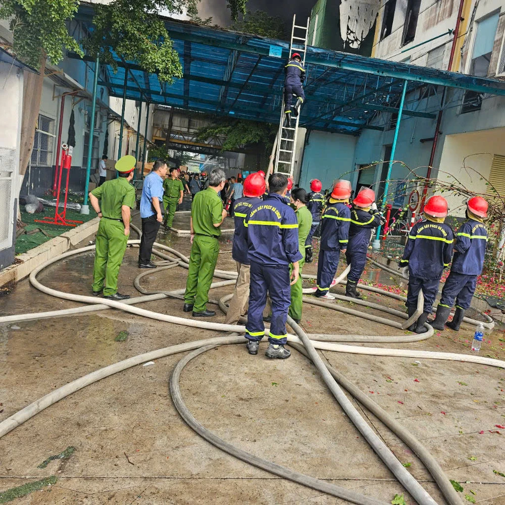 chay-cong-ty - Quang-Viet (5).jpg