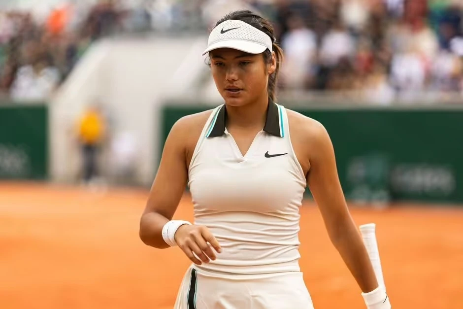 Bông hồng lai Anh quốc