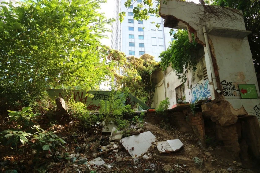 Đinh Trường Chinh