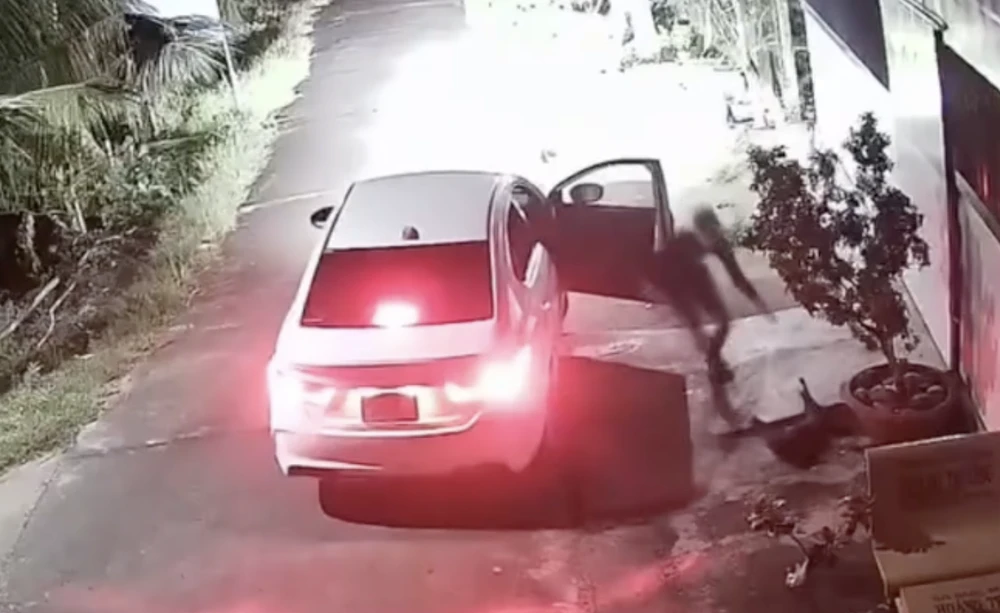 lái xe ôtô đi trộm chó