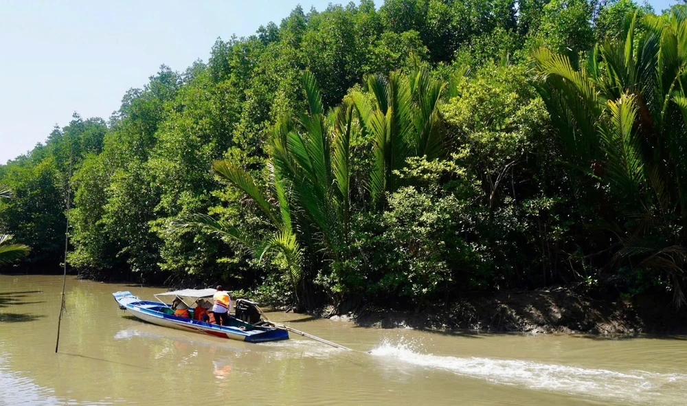 Gia đình chị Lê Thị Mỹ Tiên đi vỏ lãi đến điểm bầu cử. Ảnh: SONG MAI