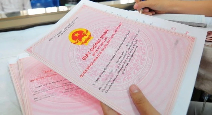 vksnd-tp-hcm-kien-nghi-nang-cao-quan-ly-thue-tranh-that-thu-ngan-sach-nha-nuoc-.jpeg