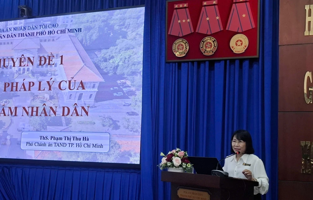 tand-tp-hcm-trien-khai-tap-huan-nhiem-vu-cho-1-299-hoi-tham-nhan-dan-3.jpg