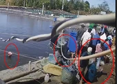 Camera ghi cảnh thương lái trộm hàng tấn tôm