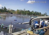 Nhóm thương lái trộm tôm ở Cà Mau: Khởi tố 19 người