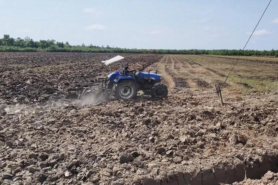 Bảo vệ và phát triển đất trồng lúa là chủ trương lớn của Đảng, Nhà nước. Ảnh minh họa của TRẦN VŨ