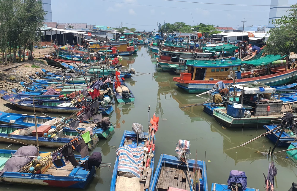 Tàu cá ở cửa biển Đá Bạc, tỉnh Cà Mau. Ảnh: TRẦN VŨ