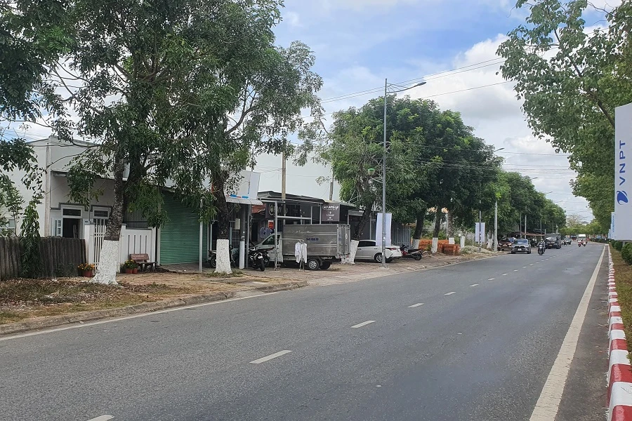 Toàn dãy phố trên đường Tôn Đức Thắng xà cừ cùng tuổi vẫn xanh tốt. Ảnh: TRẦN VŨ