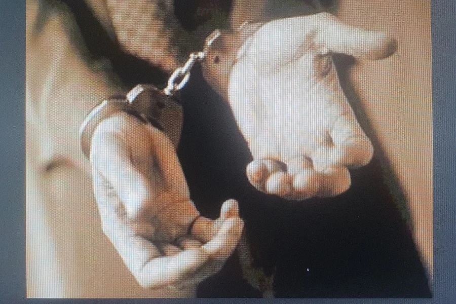 Vụ án Cadovimex Cà Mau khởi tố 5 người, tạm giam 2