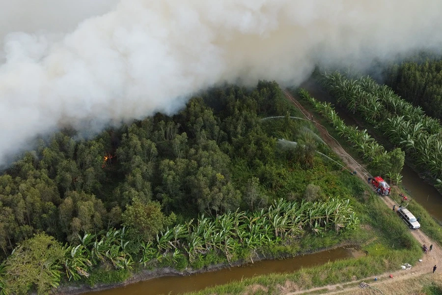 Cháy rừng tràm 2.jpg