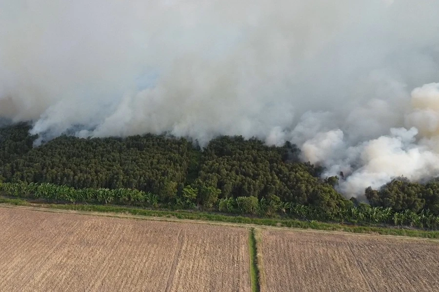 Cà Mau công bố tình huống khẩn cấp hạn hán 2.jpg