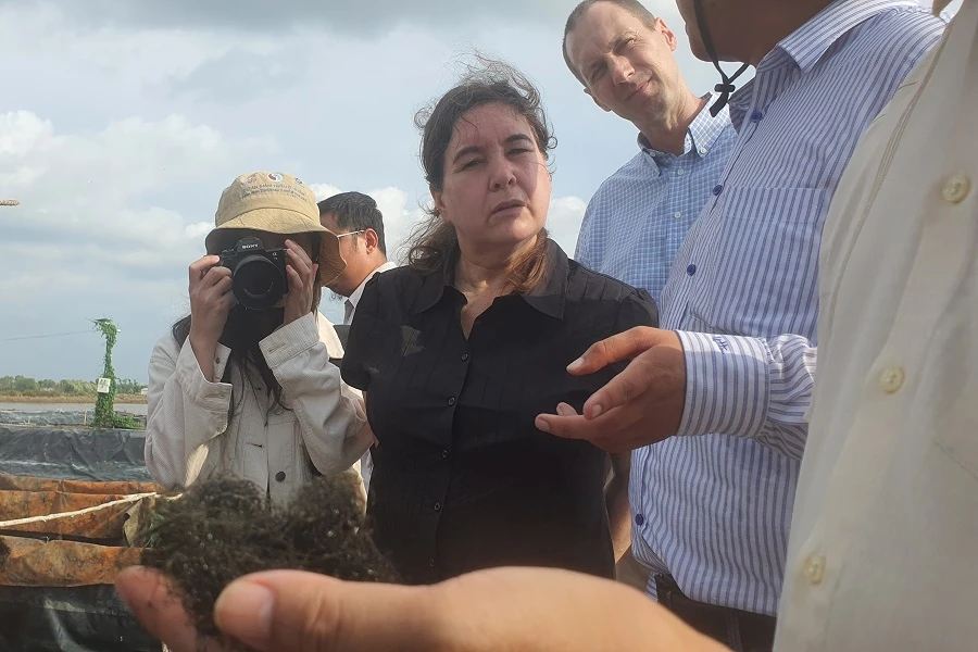 Nuôi tôm ở Cà Mau áp dụng quy trình tuần hoàn, thuận thiên