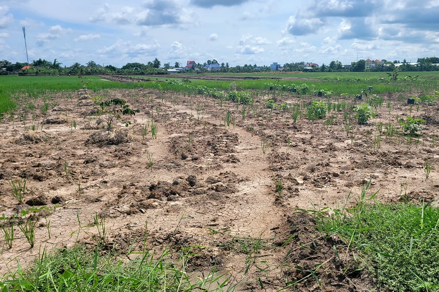 Cử tri TP Cà Mau kiến nghị 2.png