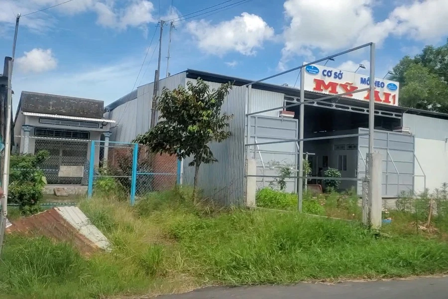 Tiếng kêu chết chóc của heo 3.jpg