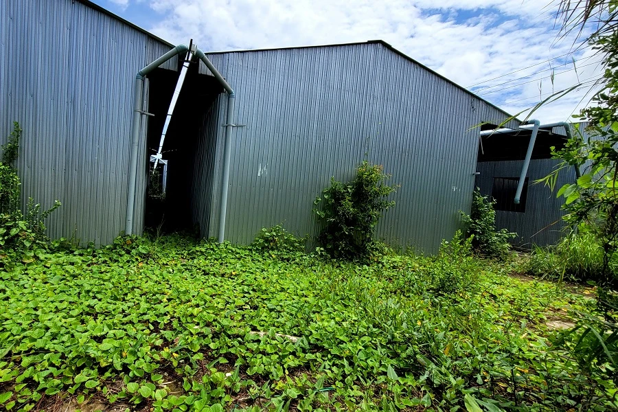 Bệnh viện dã chiến Đông Hải 1.jpg