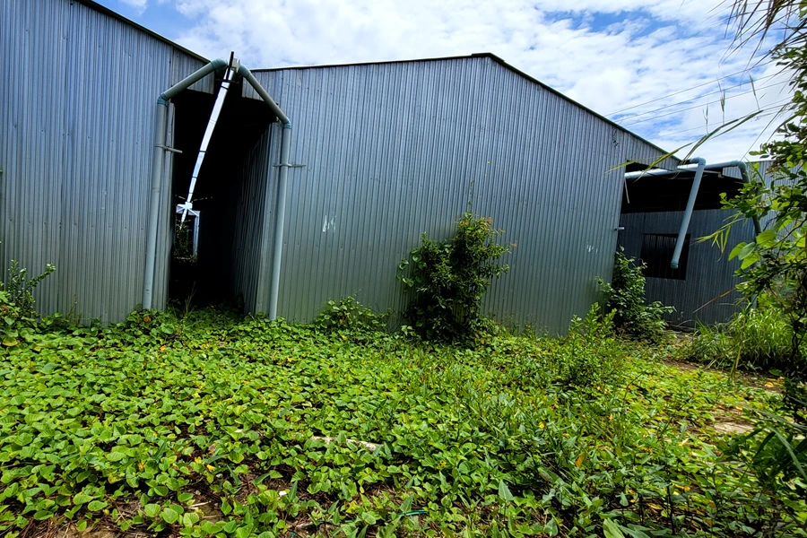 Huyện Đông Hải 1.png