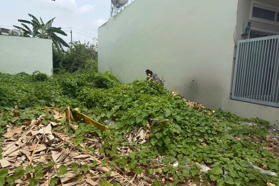 Mất 4 bánh xe ô tô Bạc Liêu 2.jpg