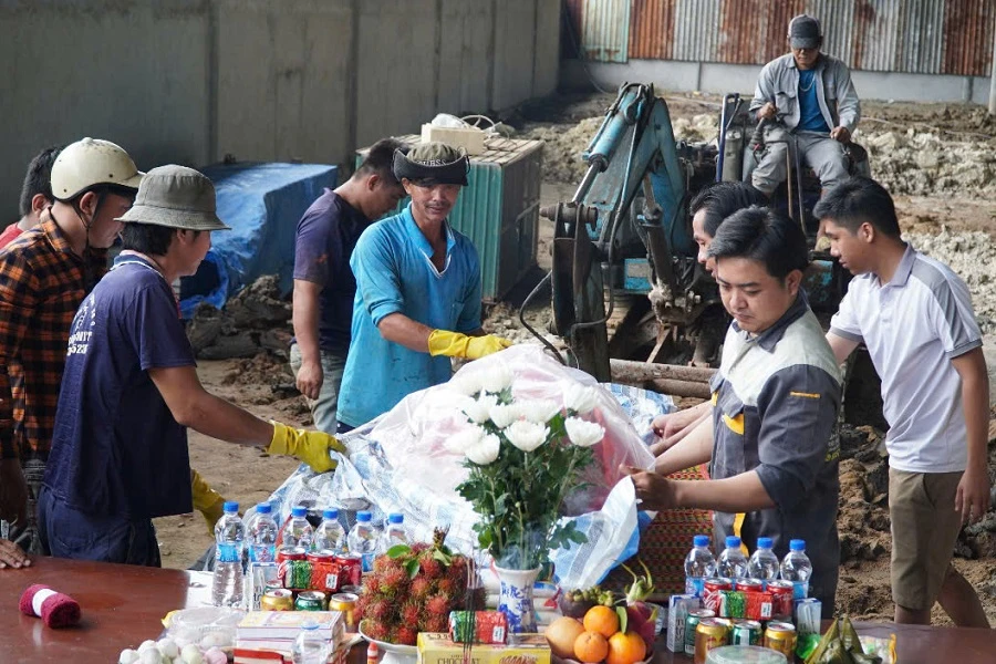 Cá heo gặp nạn 3.jpg